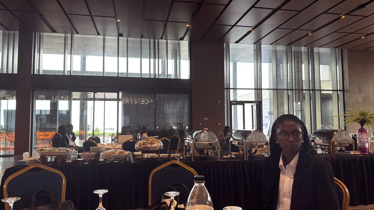 Consultants en mission